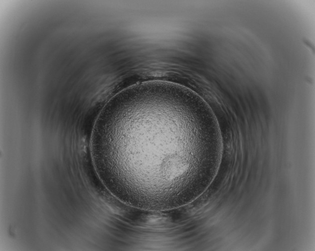 X0000096470555200801311536