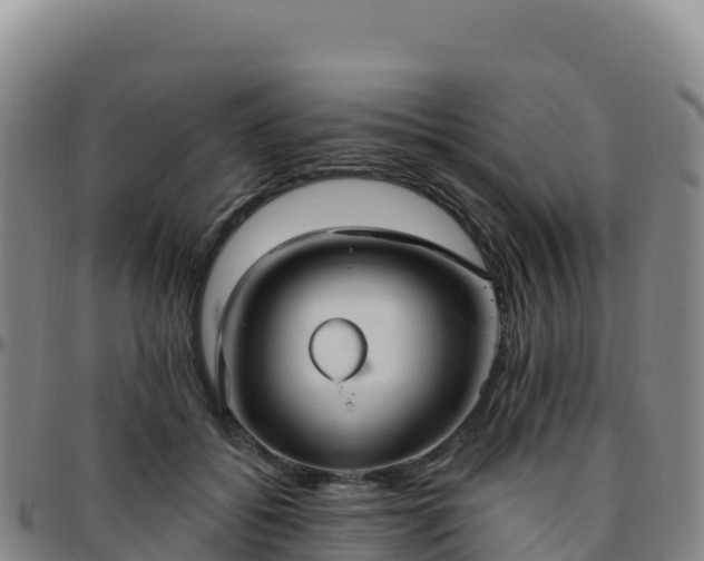 X0000096470556200801311536