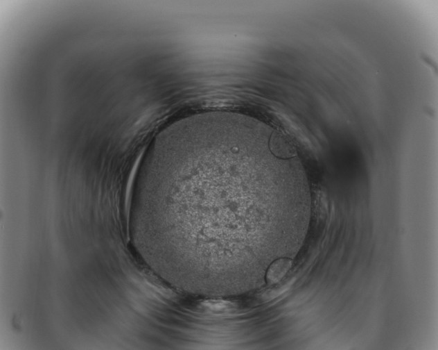 X0000096470557200801311536
