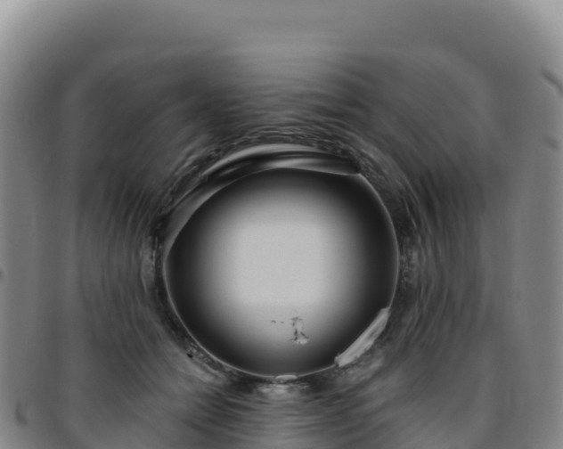 X0000096470558200801311536