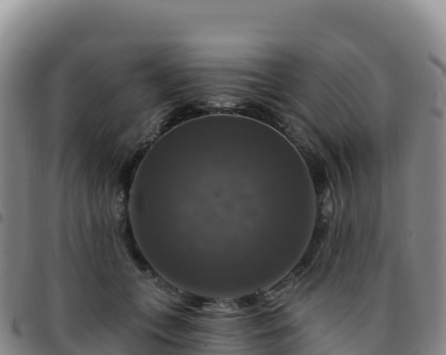 X0000096470559200801311536