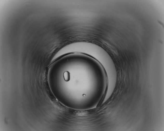 X0000096470560200801311536