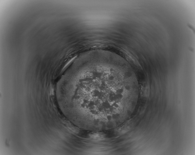 X0000096470561200801311536