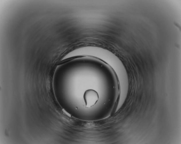 X0000096470562200801311536