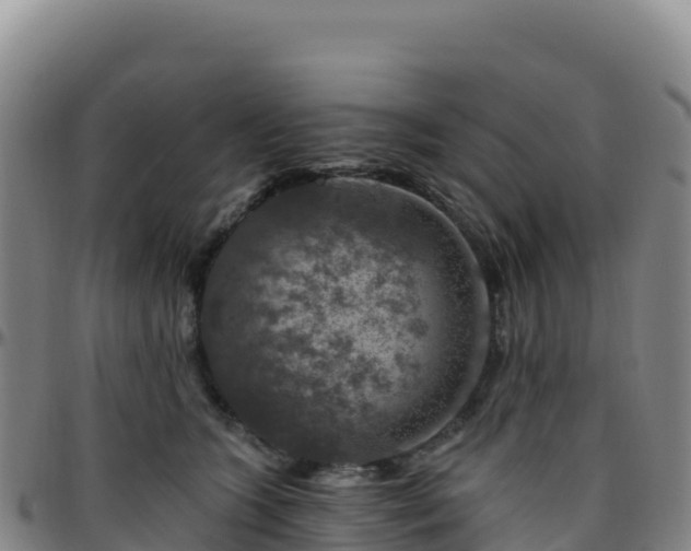 X0000096470563200801311536
