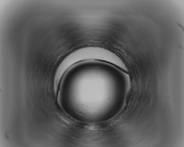 X0000096470564200801311536