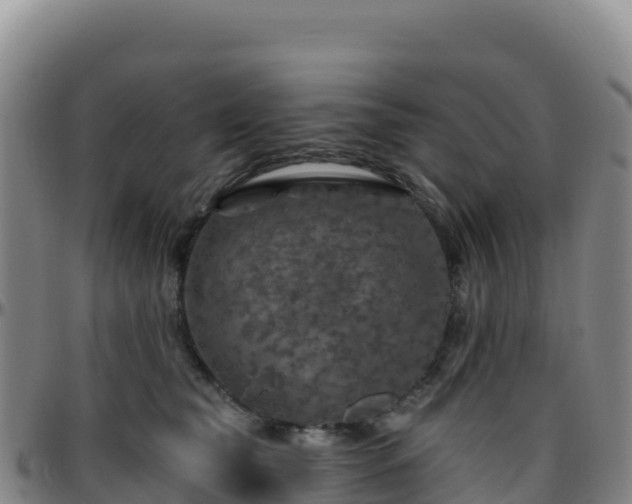X0000096470565200801311536