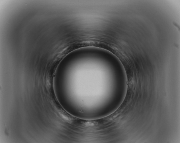 X0000096470566200801311536