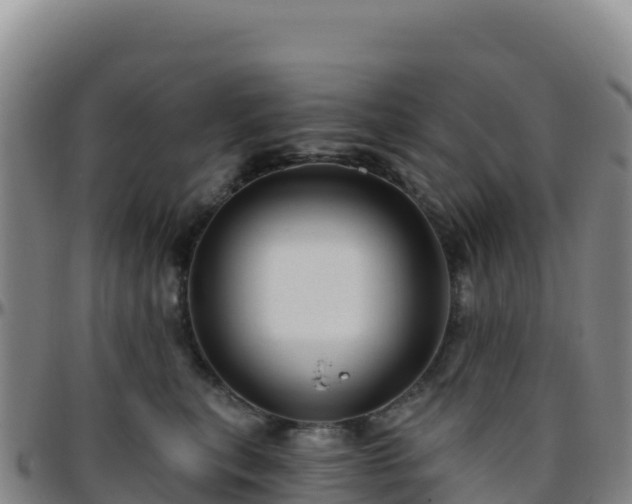 X0000096470567200801311536