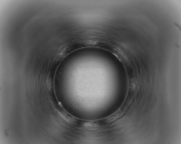 X0000096470568200801311536