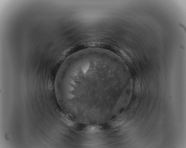 X0000096470569200801311536