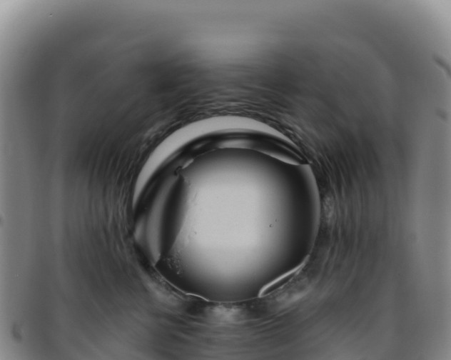 X0000096470570200801311536