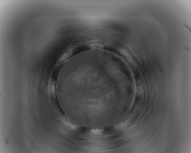 X0000096470573200801311537