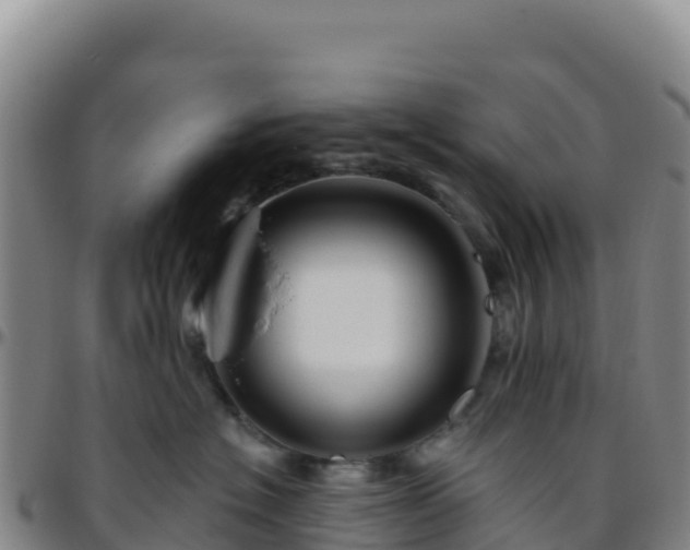 X0000096470574200801311537