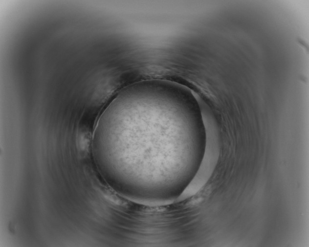 X0000096470576200801311537