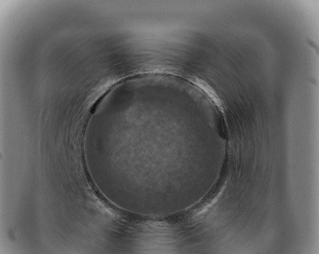 X0000096470577200801311536