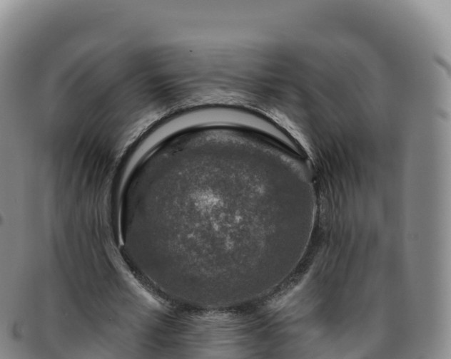 X0000096470581200801311536