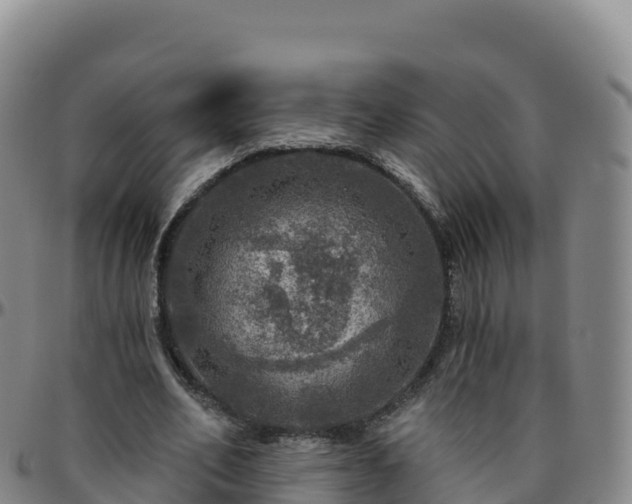 X0000096470582200801311536
