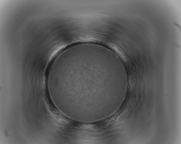 X0000096470583200801311536