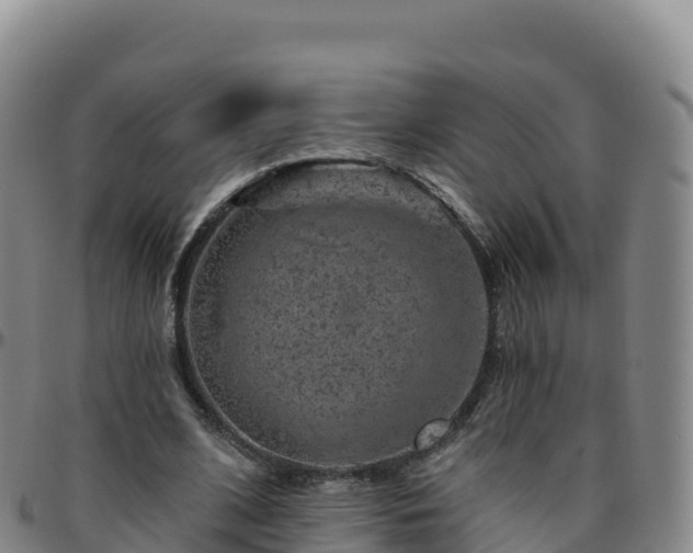 X0000096470584200801311536