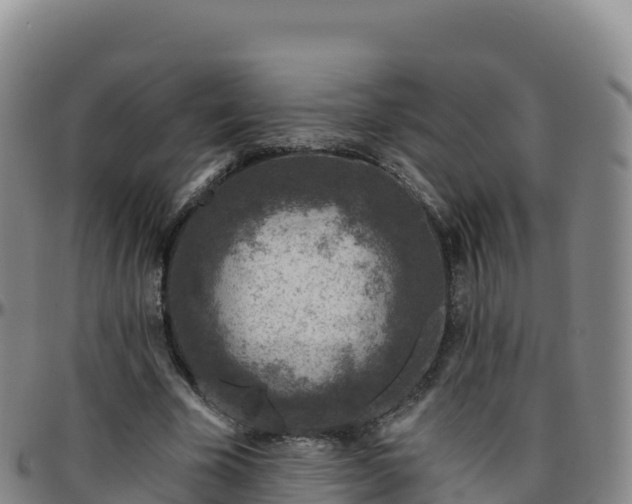 X0000096470585200801311536