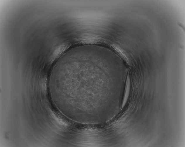 X0000096470586200801311536