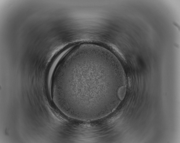 X0000096470588200801311536