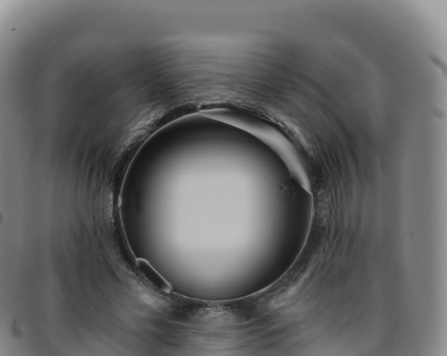 X0000096470589200801311536