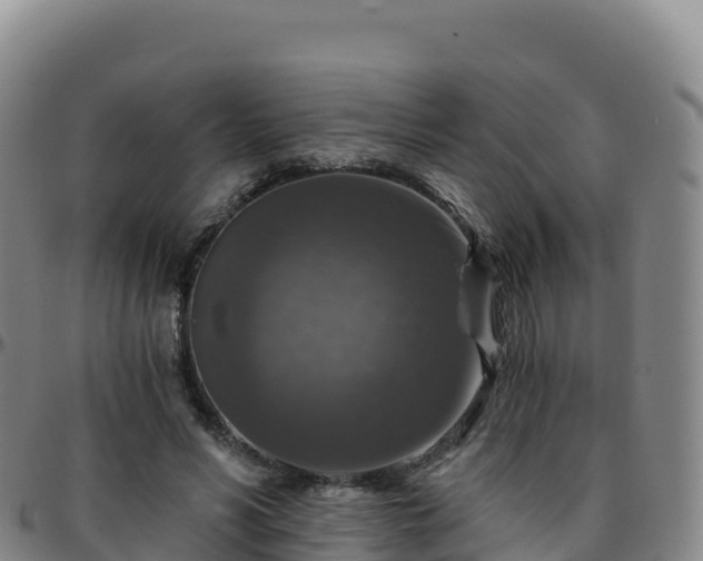 X0000096470590200801311536