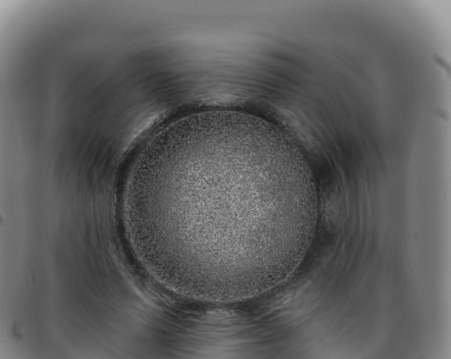 X0000096470591200801311536