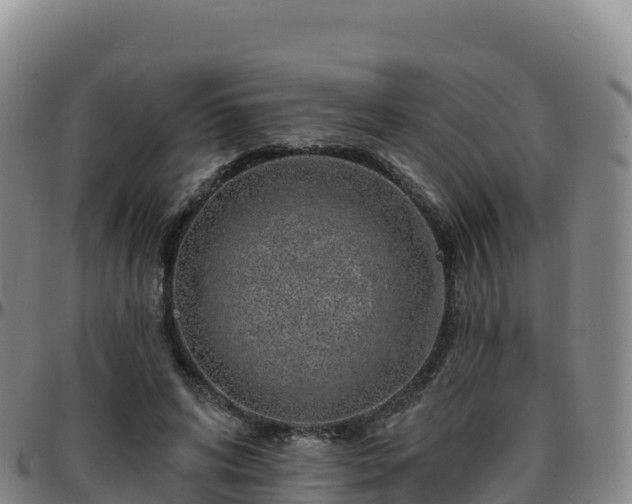 X0000096470592200801311536