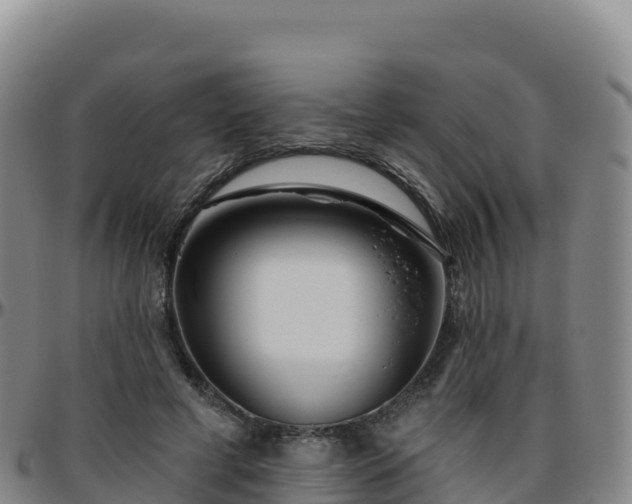 X0000096470593200801311536
