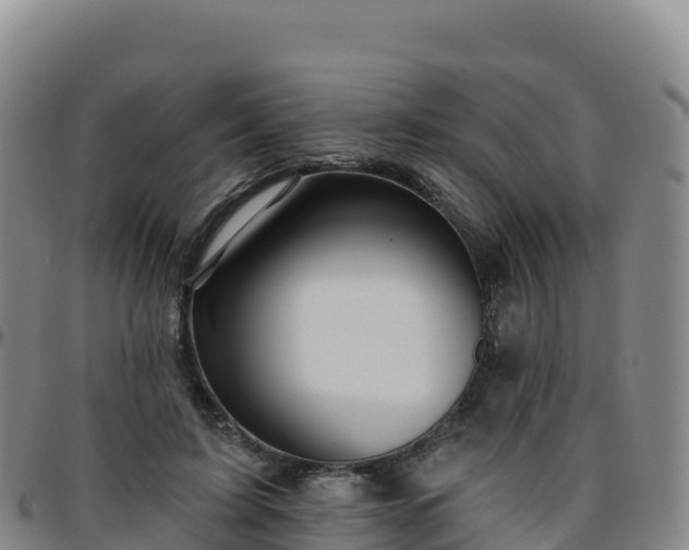 X0000096470595200801311536