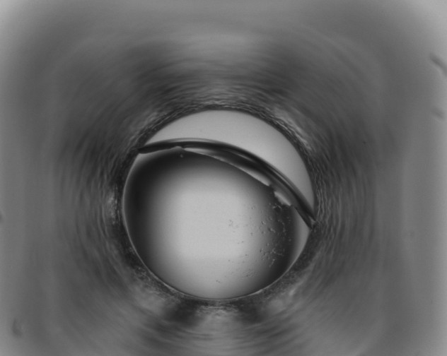 X0000096470597200801311536
