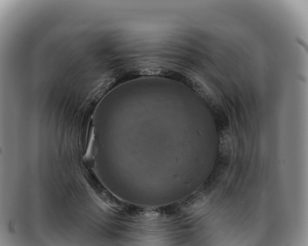 X0000096470598200801311536