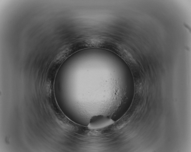 X0000096470599200801311536