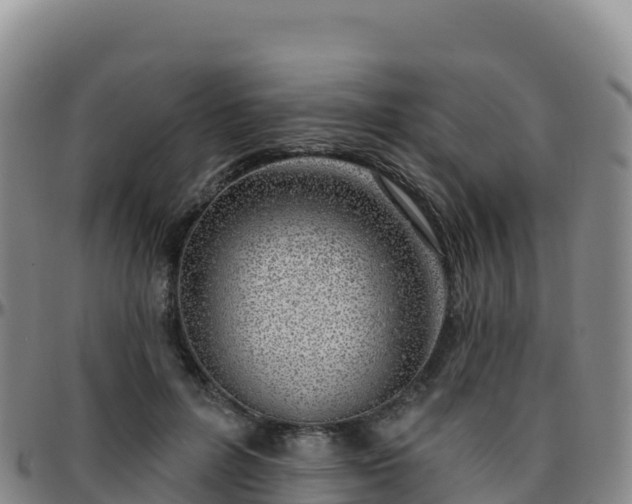 X0000096470600200801311536