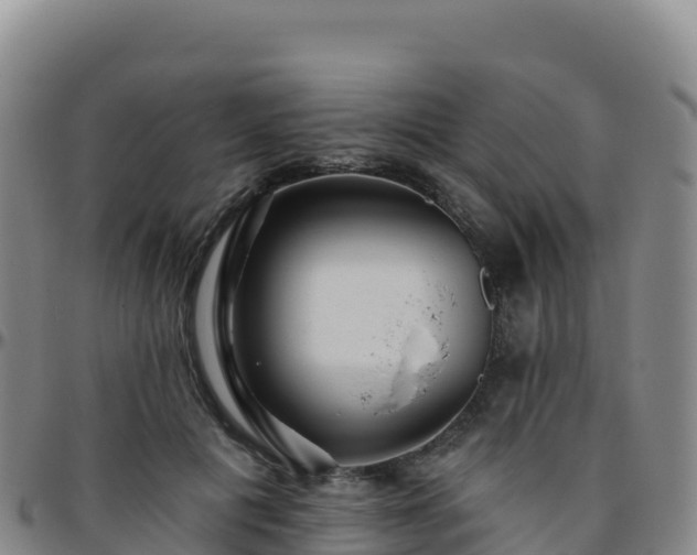 X0000096470601200801311536