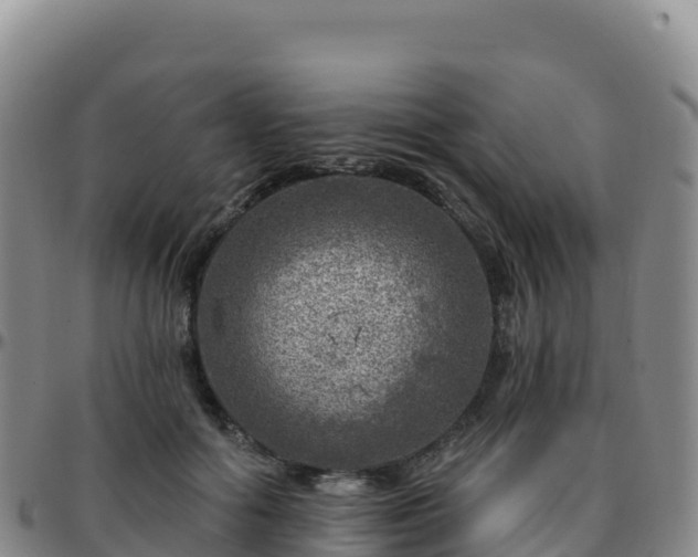 X0000096470602200801311536