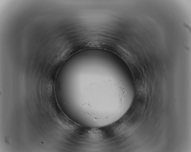 X0000096470603200801311536