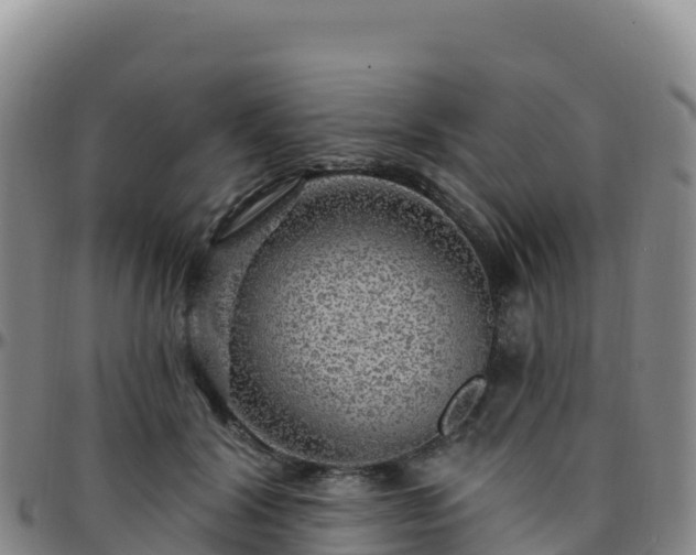 X0000096470604200801311536