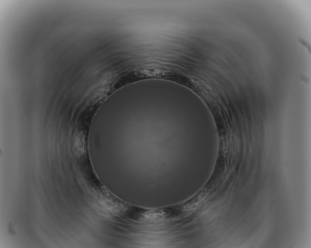 X0000096470606200801311536
