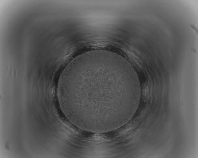 X0000096470608200801311535