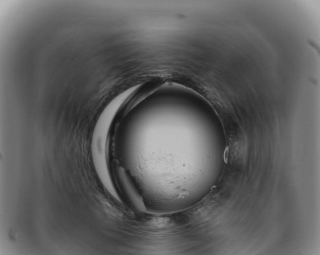 X0000096470609200801311535