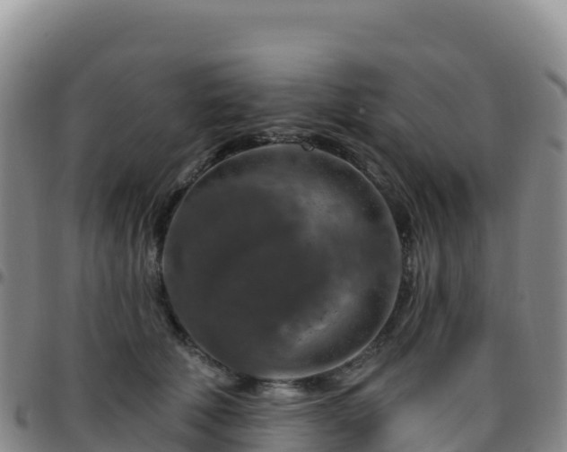 X0000096470610200801311535