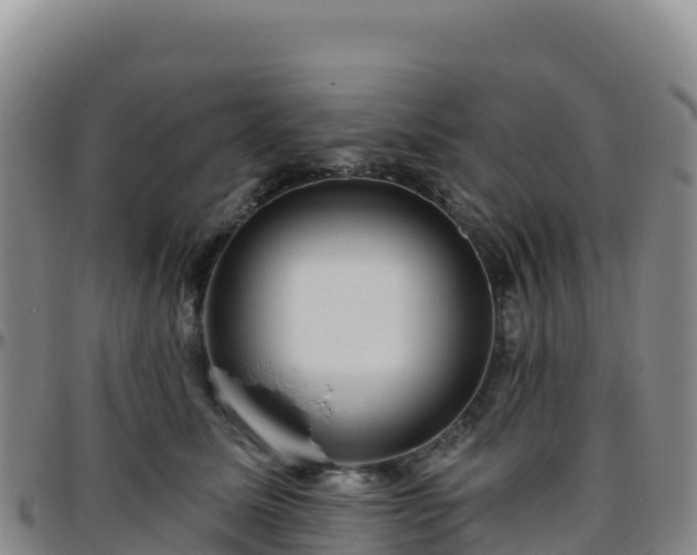 X0000096470611200801311535