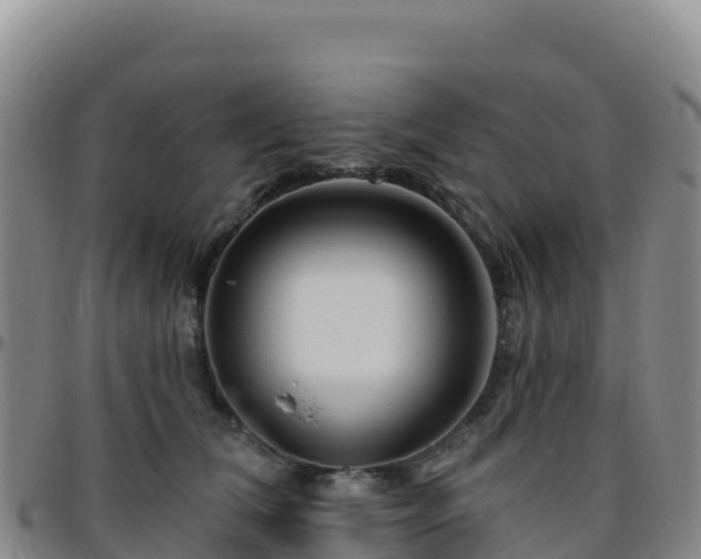 X0000096470612200801311535