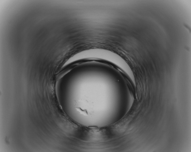 X0000096470613200801311535