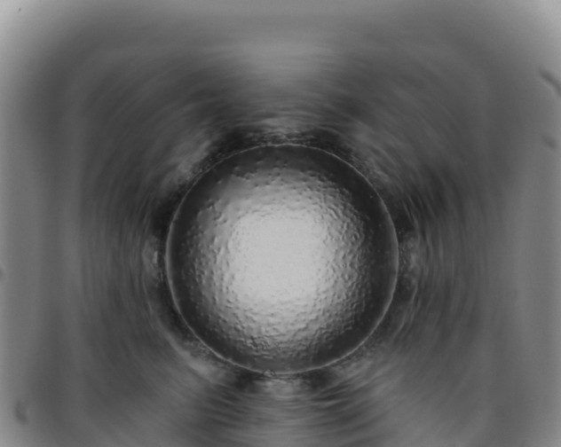 X0000096470615200801311535