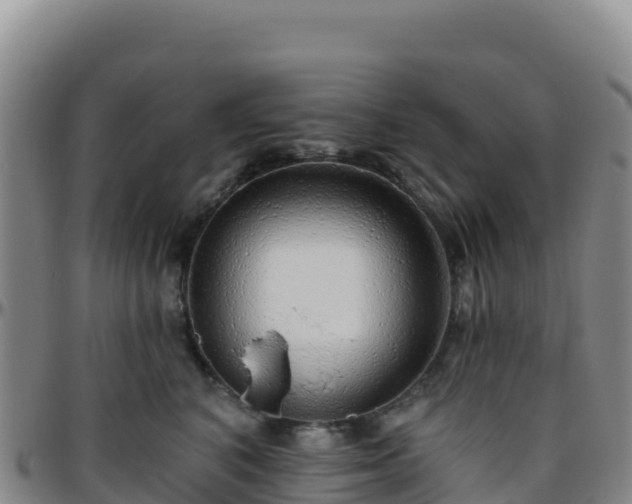 X0000096470616200801311535